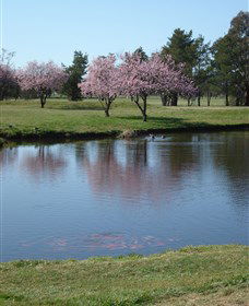 RMC Golf Club - Whitsundays Accommodation 0