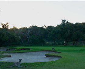 Anglesea Golf Club - Whitsundays Accommodation 8