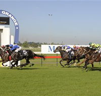 Kembla Grange Racecourse - Illawarra Turf Club - Whitsundays Accommodation