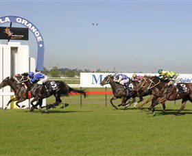 Kembla Grange Racecourse - Illawarra Turf Club - Whitsundays Accommodation 0