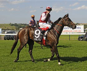 Kembla Grange Racecourse - Illawarra Turf Club - Whitsundays Accommodation 2