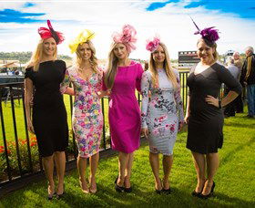 Kembla Grange Racecourse - Illawarra Turf Club - Whitsundays Accommodation 4