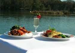 Blowfish Cafe - Whitsundays Accommodation 1