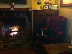 Royal Cricketers Arms - Whitsundays Accommodation 2