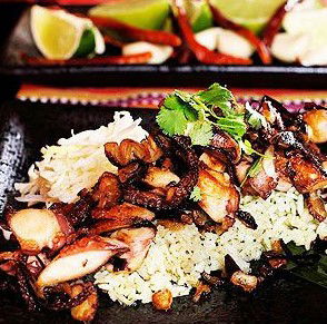 Agave Restaurante Mexicano - Whitsundays Accommodation 4