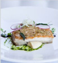 PJ's Irish Sports Bar & Bistro @ The Criterion Hotel - Whitsundays Accommodation 0