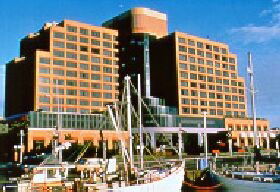 Queens Domain TAS Whitsundays Accommodation