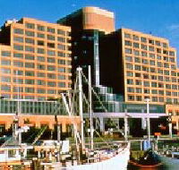 The Atrium Bar - Whitsundays Accommodation