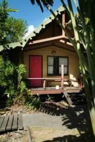Magnum's Backpackers Bar - Whitsundays Accommodation 0