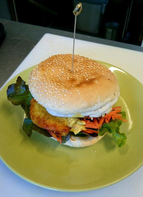Yogolicious - Whitsundays Accommodation 2