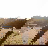 Arcadia - Whitsundays Accommodation