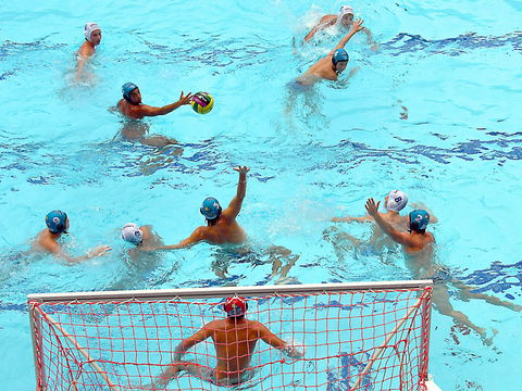Australian Youth Water Polo Championships - Whitsundays Accommodation 0