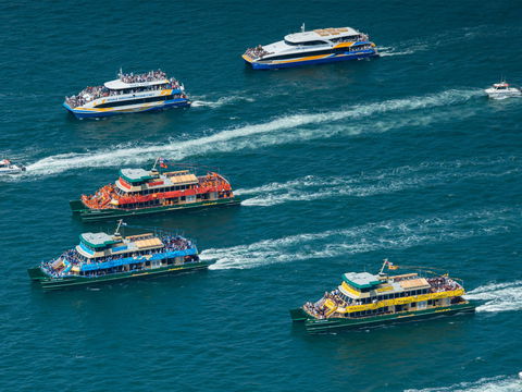 Australia Day Sydney Harbour Cruises - Whitsundays Accommodation 1