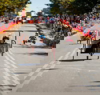 Australian Billy Cart Championships - Whitsundays Accommodation