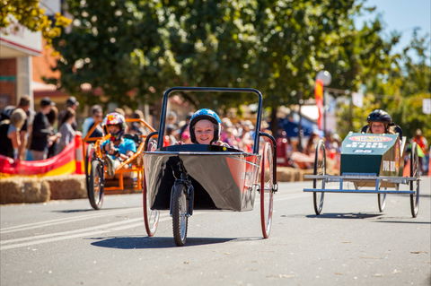Australian Billy Cart Championships - Whitsundays Accommodation 2