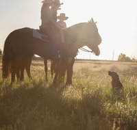 Balonne Cutting Horse Futurity - Whitsundays Accommodation