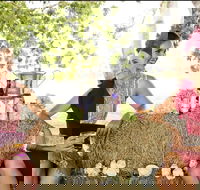 Burdekin Growers Race Day