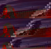 Carmen - Whitsundays Accommodation