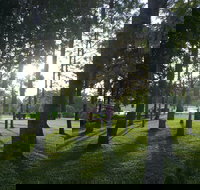 Celebration Outing Special - Whitsundays Accommodation