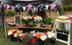 Central Coast Grammar School Spring Fair - thumb 1