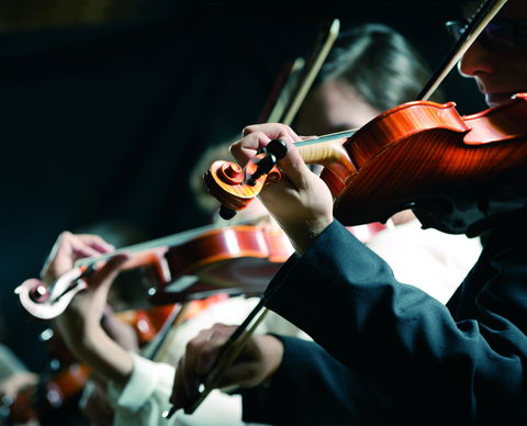 Crossroads Festival Of Chamber Music - Whitsundays Accommodation 0