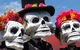 Día De Los Muertos Fiesta - thumb 0