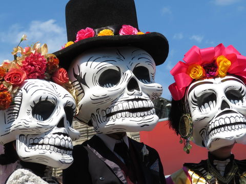 Día De Los Muertos Fiesta - Whitsundays Accommodation 0