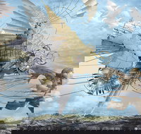 Dreams of Air and Flight