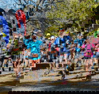 Duval Dam Buster Trail Run - Whitsundays Accommodation