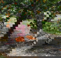 Fruit Bottling Sessions at Rayner's Orchard - Whitsundays Accommodation