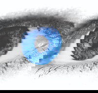 Joe Orton's What the Butler Saw - Whitsundays Accommodation