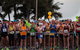 Mackay Marina Run - thumb 2