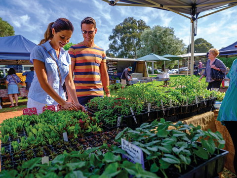 Margaret River Farmers Market - Whitsundays Accommodation 1