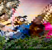 Meet the Dinosaurs at Scitech - Whitsundays Accommodation