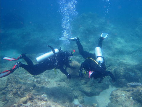 Recovery Of The Great Barrier Reef Expedition - Whitsundays Accommodation 1