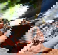 Saturday Wine Masterclass - Whitsundays Accommodation