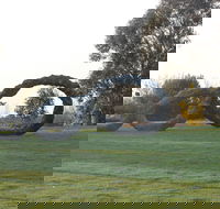 SculptureShaw - Whitsundays Accommodation