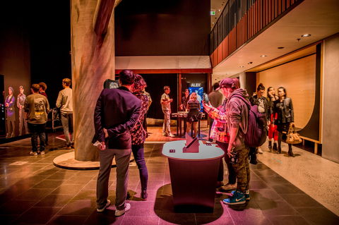 Seven Siblings From The Future - Whitsundays Accommodation 2