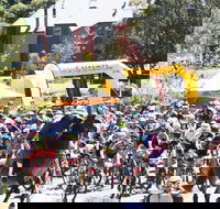 Snowies MTB Festival