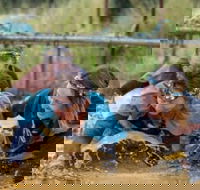 Suck It Up Buttercup Vikings Obstacle Course - Whitsundays Accommodation