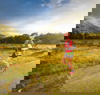 Trail Run Australia  Snowy Mountains