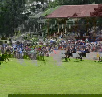 Tumut Derby Day - Whitsundays Accommodation
