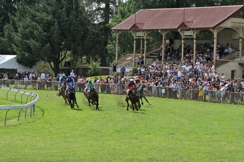 Tumut Derby Day - Whitsundays Accommodation 0