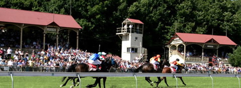 Tumut Derby Day - Whitsundays Accommodation 1