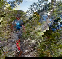 Wild Earth Coastal High 50