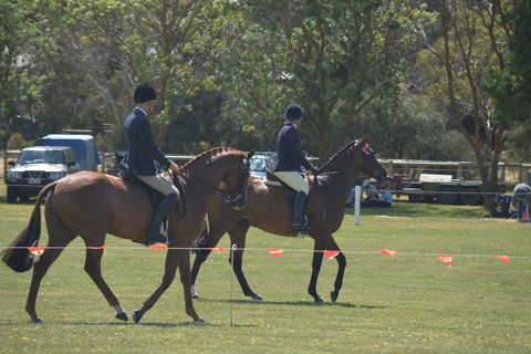 Yankalilla Show - Whitsundays Accommodation 2