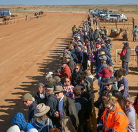 28th Marree Australasian CAMEL CUP 3 July 2021 - Whitsundays Accommodation
