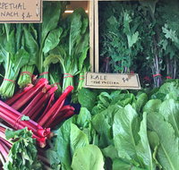 Albury Wodonga Farmers Market - Whitsundays Accommodation
