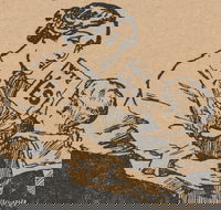 A Nation Divided the Great War and Conscription - Whitsundays Accommodation