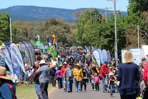 Australian National Field Days - Whitsundays Accommodation 1